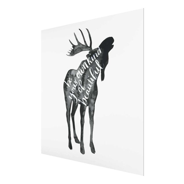 Magnettafel Glas Animals With Wisdom - Elk