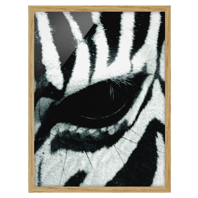 Tavlor med ram djur Zebra Crossing