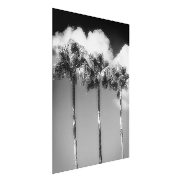 Glastavlor svart och vitt Palm Trees Against The Sky Black And White