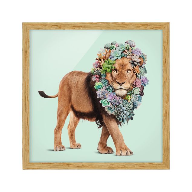 Tavlor lejon Lion With Succulents