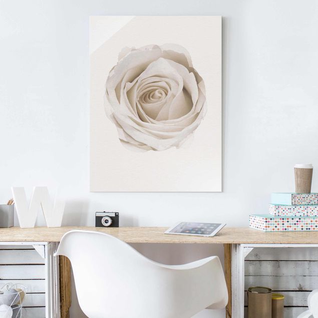 Kök dekoration WaterColours - Pretty White Rose