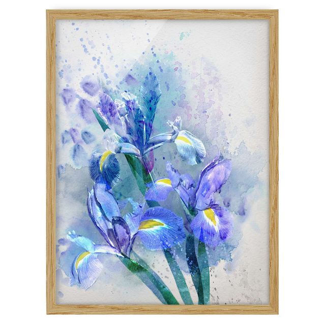 Tavlor blommor  Watercolour Flowers Iris