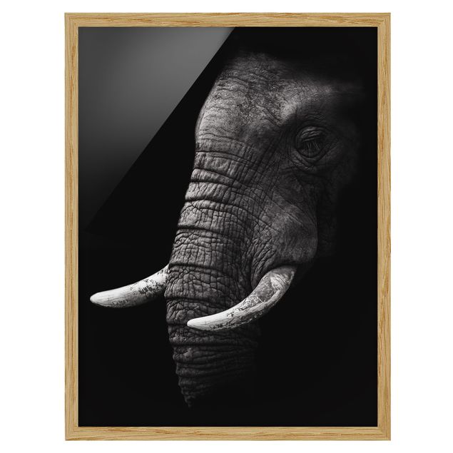 Tavlor med ram svart och vitt Dark Elephant Portrait