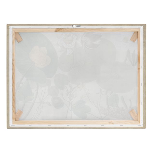 Tavlor Vintage Board White Water-Lily