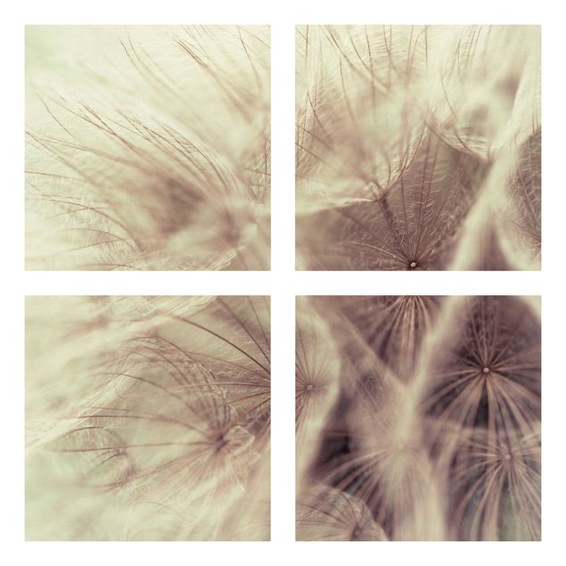 Canvastavlor bergen Detailed Dandelion Macro Shot With Vintage Blur Effect