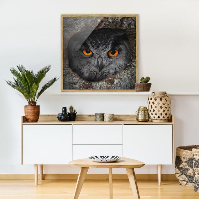 Tavlor med ram abstrakt Watching Owl