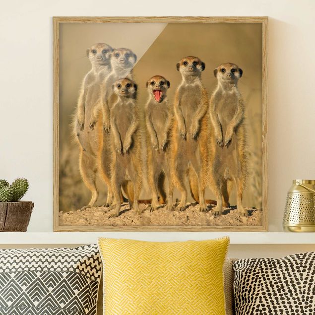 Kök dekoration Meerkat Family