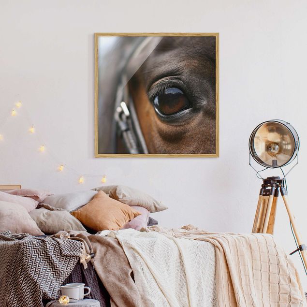Tavlor modernt Horse Eye No.3