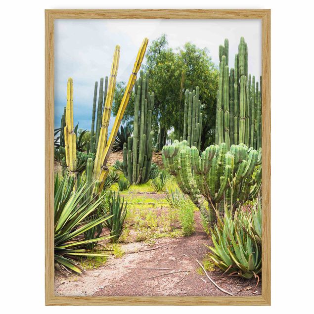 Tavlor med ram blommor  Cactus Landscape