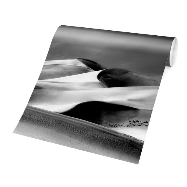 Fototapeter svart och vitt Colorado Dunes Black And White