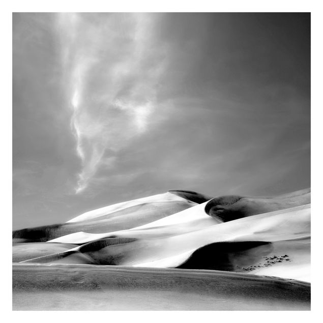 Fototapeter landskap Colorado Dunes Black And White