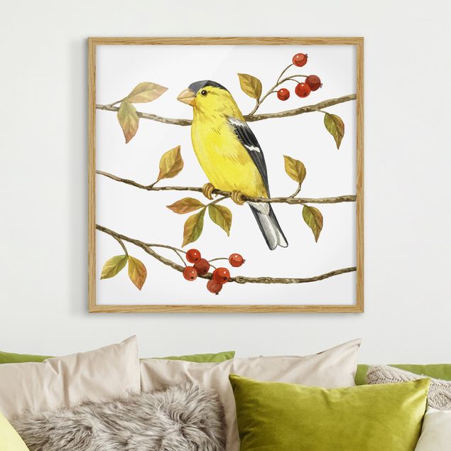Tavlor med ram vintage Birds And Berries - American Goldfinch