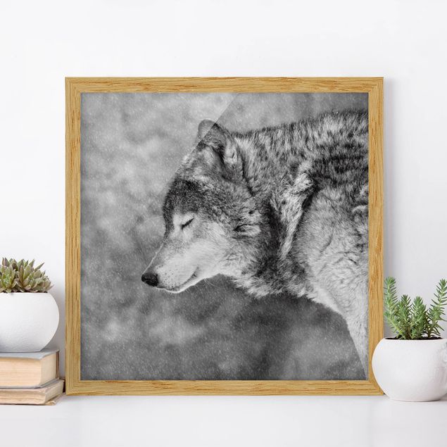 Kök dekoration Winter Wolf