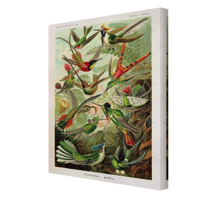Tavlor färgglada Vintage Board Hummingbirds