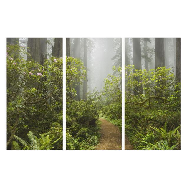 Canvastavlor skogar Misty Forest Path