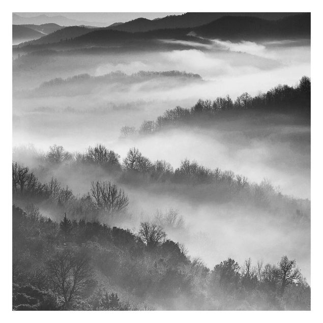Fototapeter landskap Fog At Sunset Black And White
