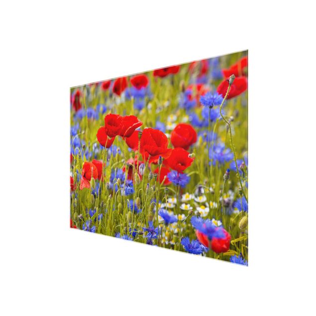 Tavlor blommor  Summer Meadow With Poppies And Cornflowers