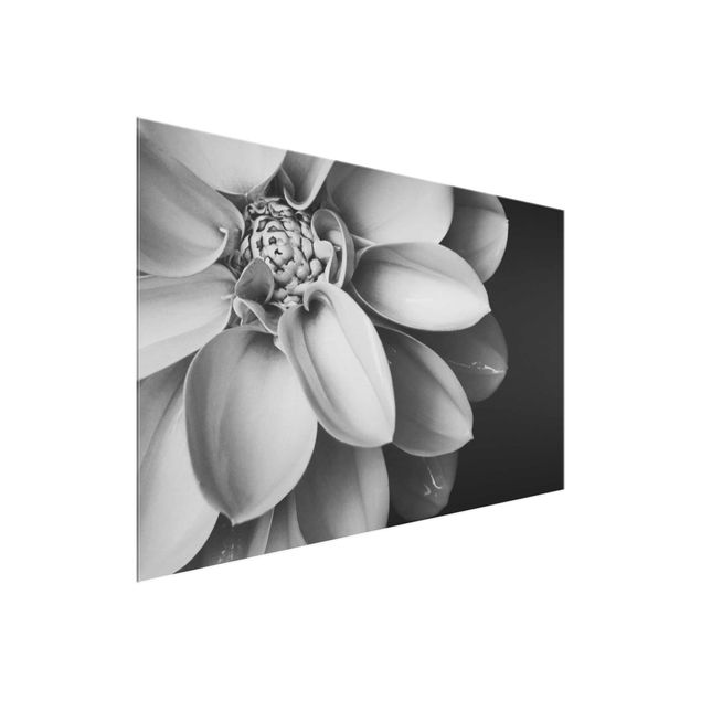 Tavlor blommor In The Heart Of A Dahlia Black And White