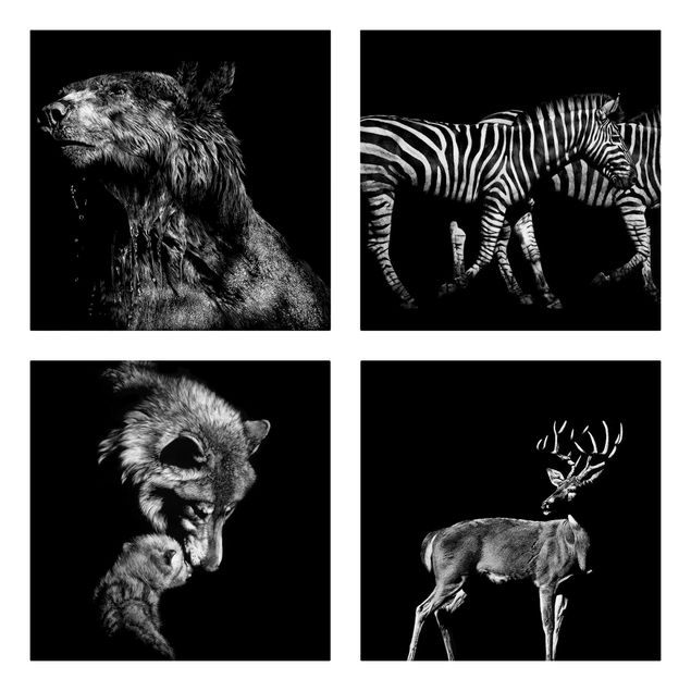 Canvastavlor zebror Wild Animals From Black Set I