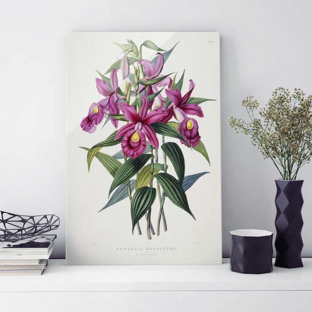 Glastavlor orkidéer Maxim Gauci - Orchid I