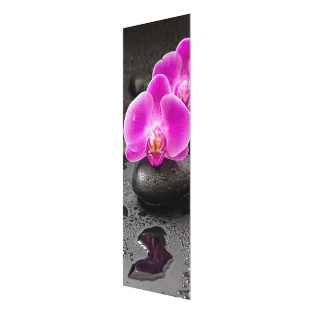 Tavlor blommor  Pink Orchid Flower On Stones With Drops
