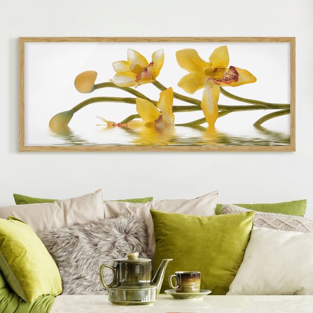 Tavlor orkidéer Saffron Orchid Waters