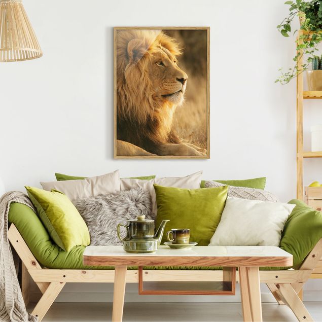 Tavlor med ram djur King Lion