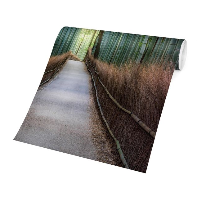 Fototapeter grön The Path Through The Bamboo