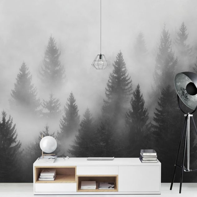 Fototapeter skogar Coniferous Forest In The Fog Black And White