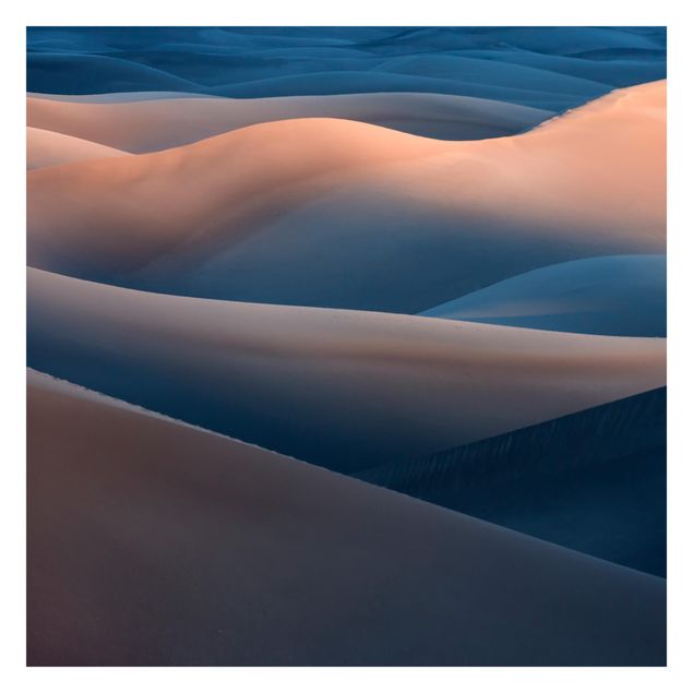 Fototapeter landskap The Colours Of The Desert