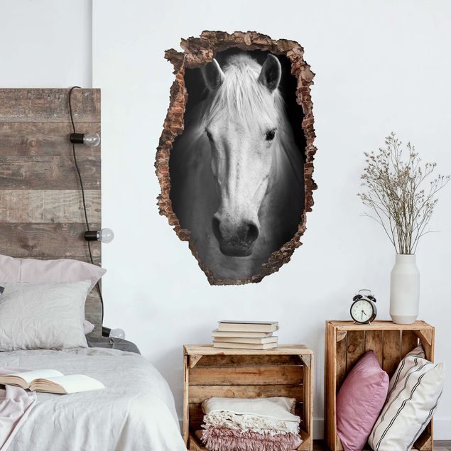 Autocolantes de parede 3D Dream of a horse