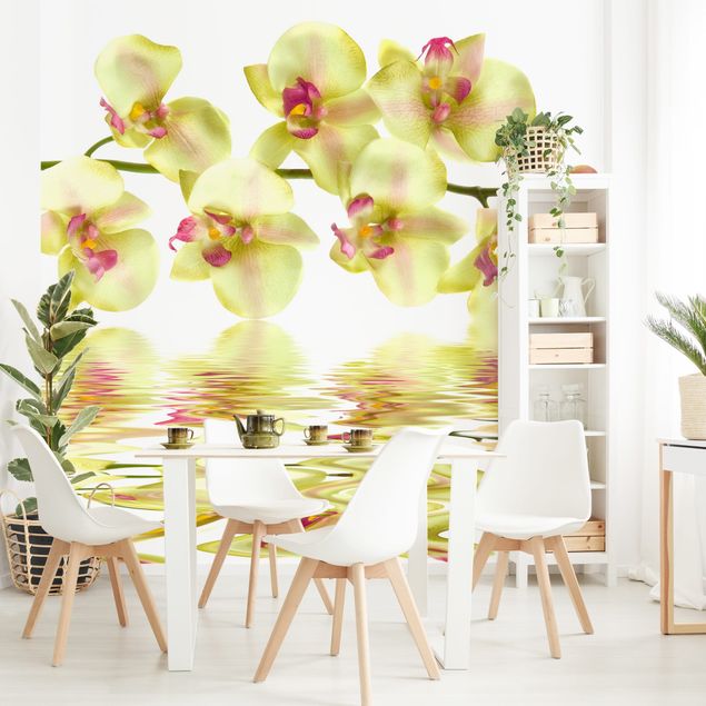 Kök dekoration Dreamy Orchid Waters