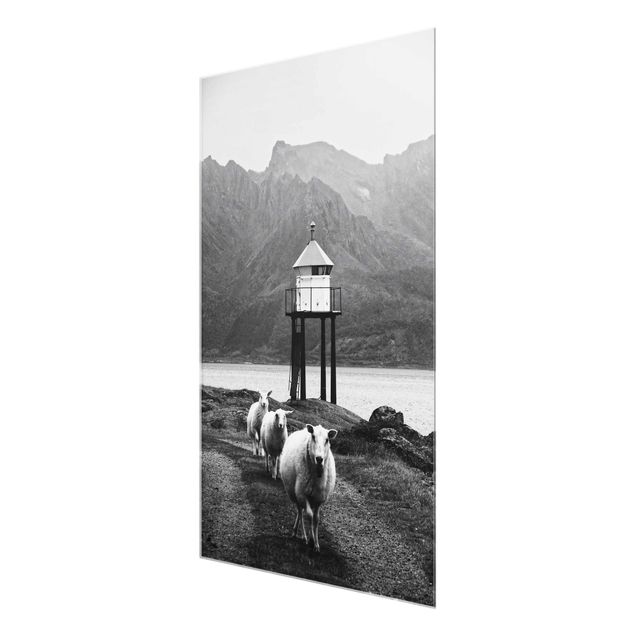 Tavlor Three Sheep On the Lofoten