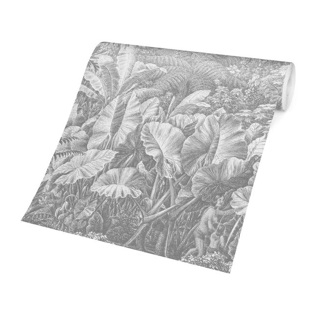 Fototapeter grått Jungle Copperplate Engraving