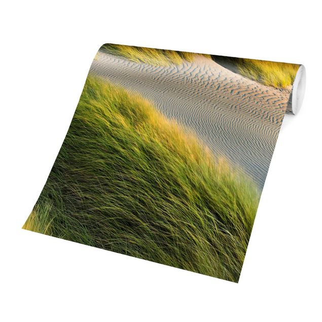 Tapeter modernt Dunes And Grasses At The Sea