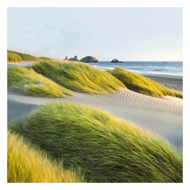 Fototapeter landskap Dunes And Grasses At The Sea