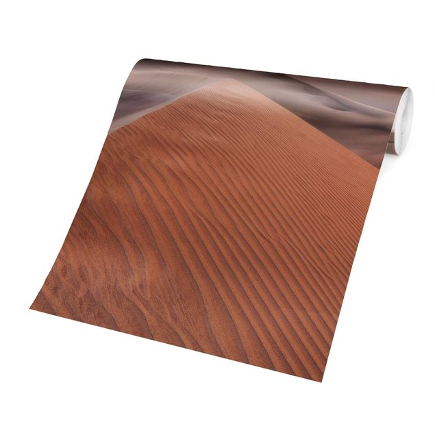 Fototapeter öknar View Of Dunes