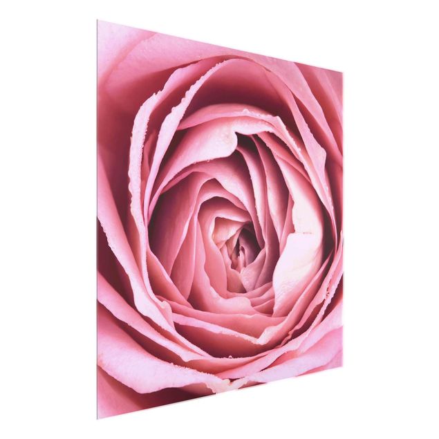 Glastavlor blommor  Pink Rose Blossom