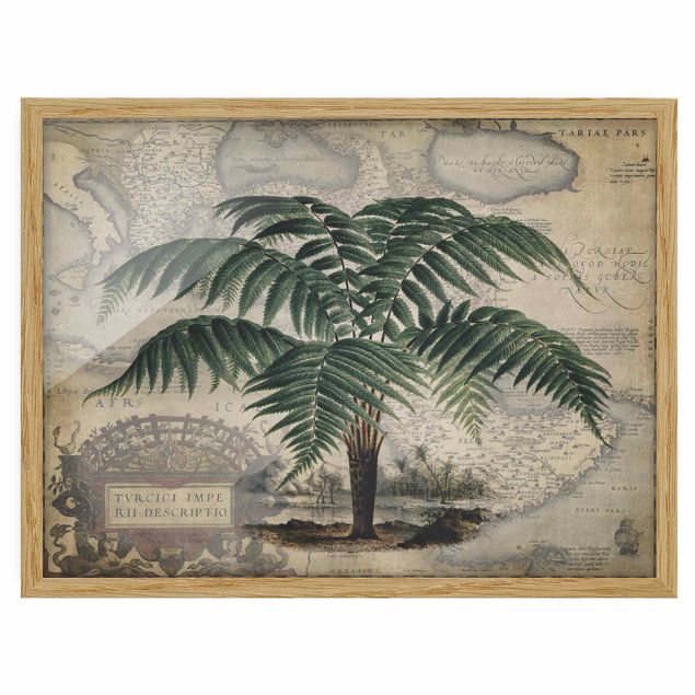 Tavlor med ram världskartor Vintage Collage - Palm And World Map