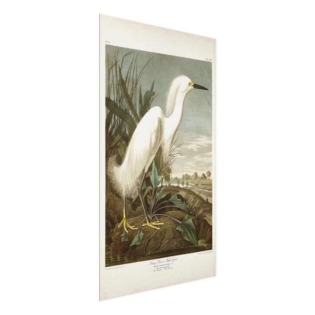 Tavlor hav Vintage Board White Heron I