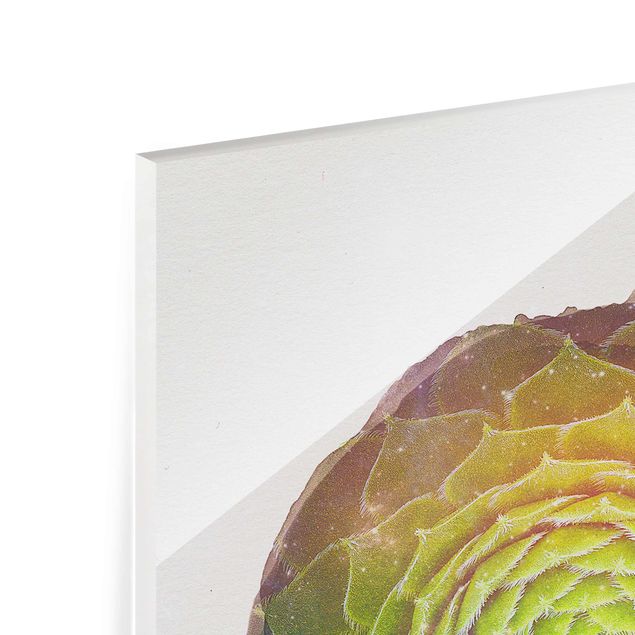 Glas Magnetboard WaterColours - Mandala Succulent
