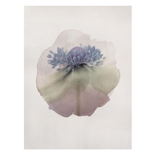 Tavlor WaterColours - Anemone In Violet