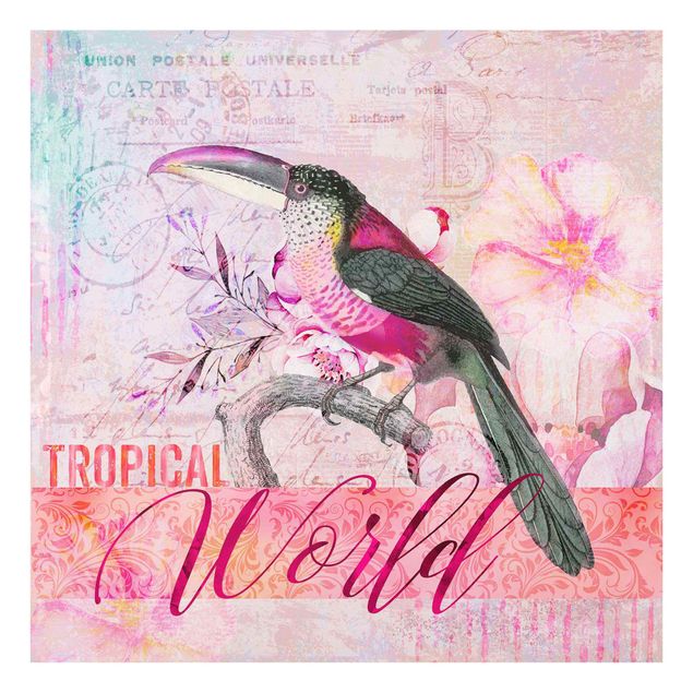 Tavlor Andrea Haase Vintage Collage - Tropical World Tucan