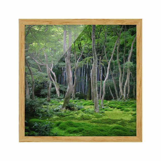 Tavlor med ram landskap Japanese Forest