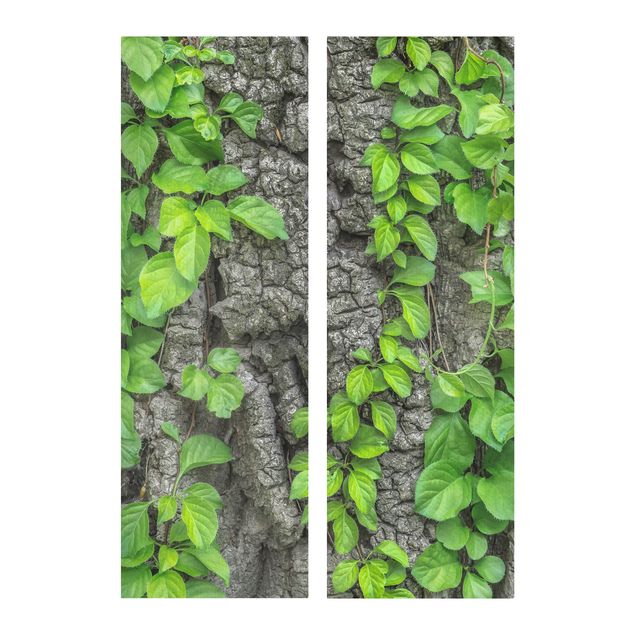 Tavlor landskap Ivy Tendrils Tree Bark