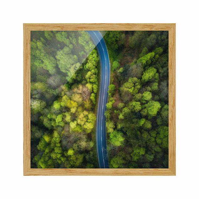 Tavlor med ram landskap Aerial View - Asphalt Road In The Forest