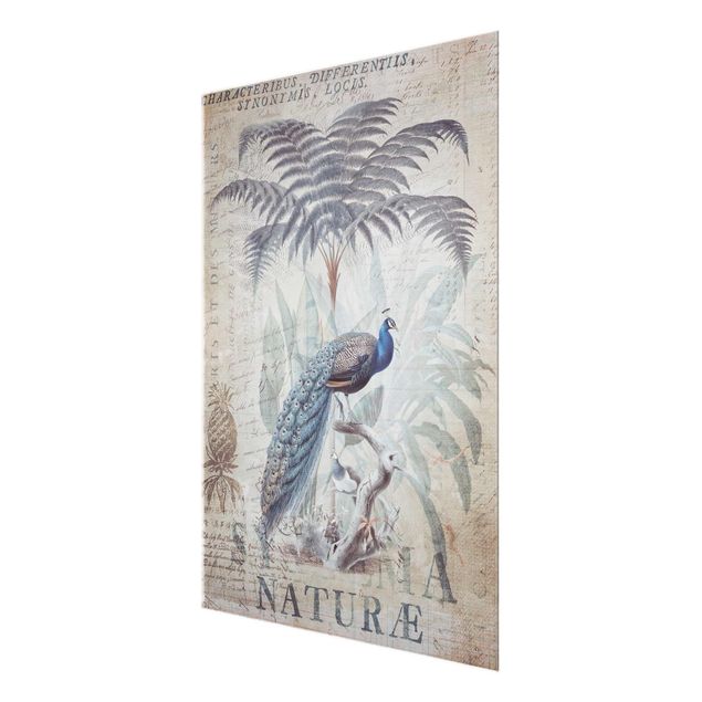 Tavlor Andrea Haase Shabby Chic Collage - Peacock