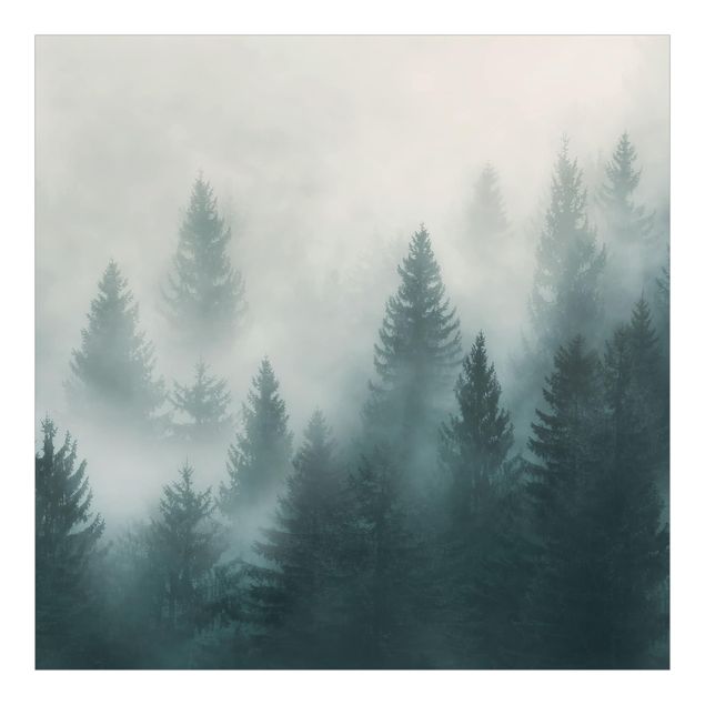 Tapeter Coniferous Forest In Fog