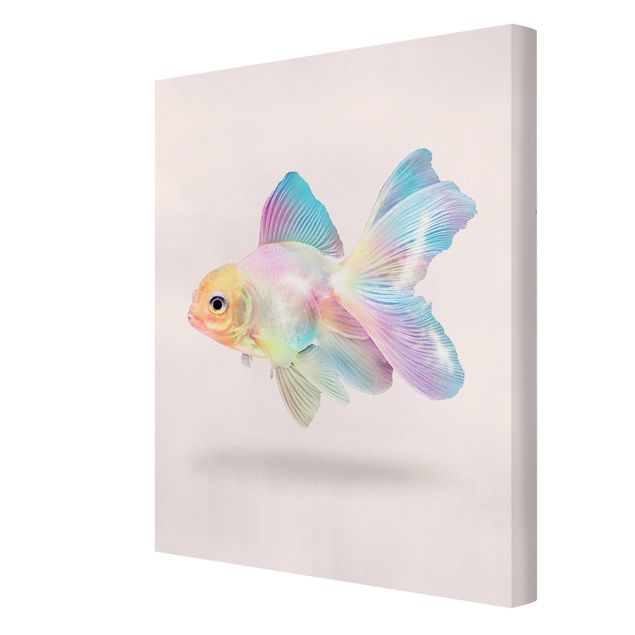 Canvastavlor djur Fish In Pastel