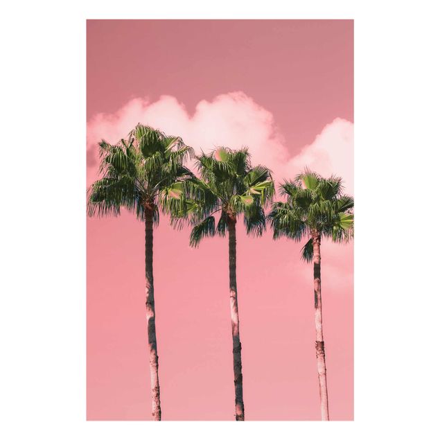 Tavlor blommor  Palm Trees Against Sky Pink
